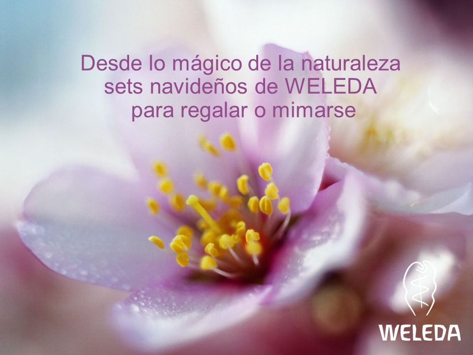Desde lo mágico de la naturaleza sets navideños de WELEDA para regalar o mimarse