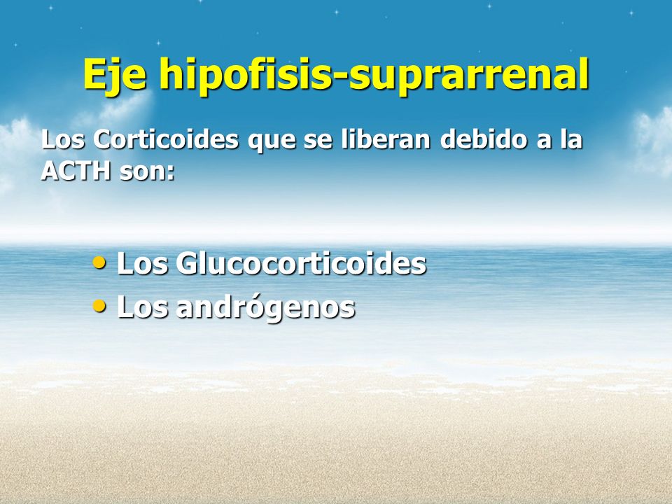 Los Corticoides que se liberan debido a la ACTH son: