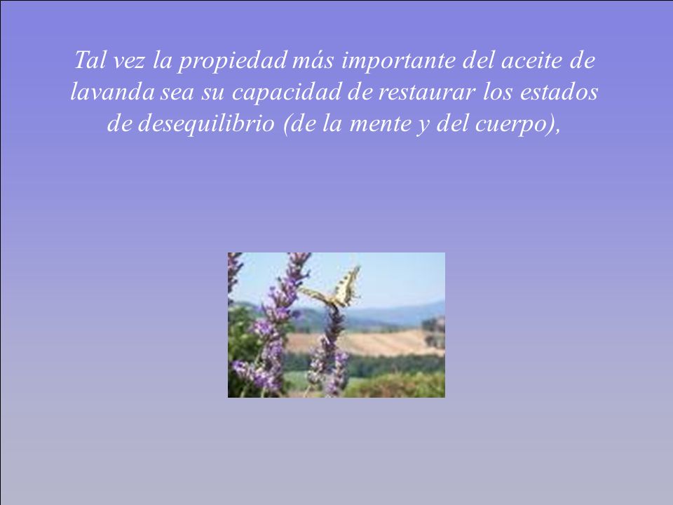 Tal vez la propiedad más importante del aceite de lavanda sea su capacidad de restaurar los estados de desequilibrio (de la mente y del cuerpo),