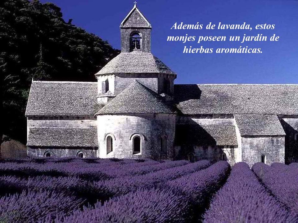 Además de lavanda, estos monjes poseen un jardín de hierbas aromáticas.
