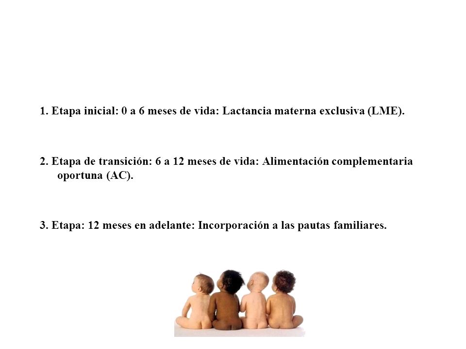 1. Etapa inicial: 0 a 6 meses de vida: Lactancia materna exclusiva (LME).