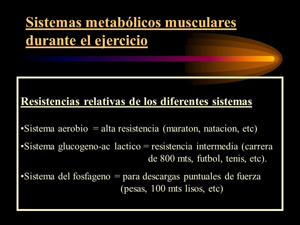 Sistemas metabólicos musculares durante el ejercicio
