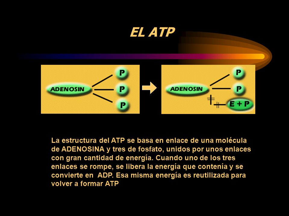 EL ATP