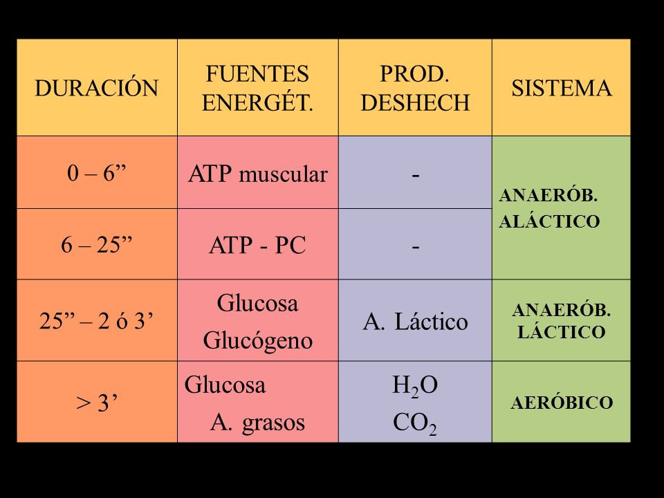 ATP muscular - ATP - PC Glucosa Glucógeno A. Láctico > 3’ A. grasos
