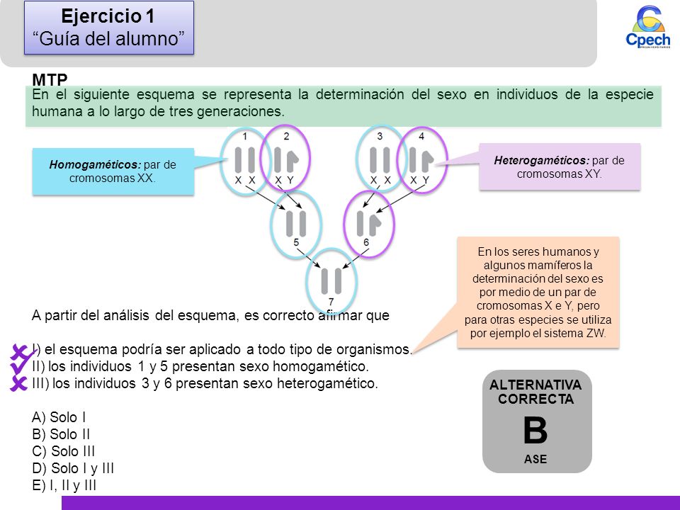    B Ejercicio 1 Guía del alumno MTP