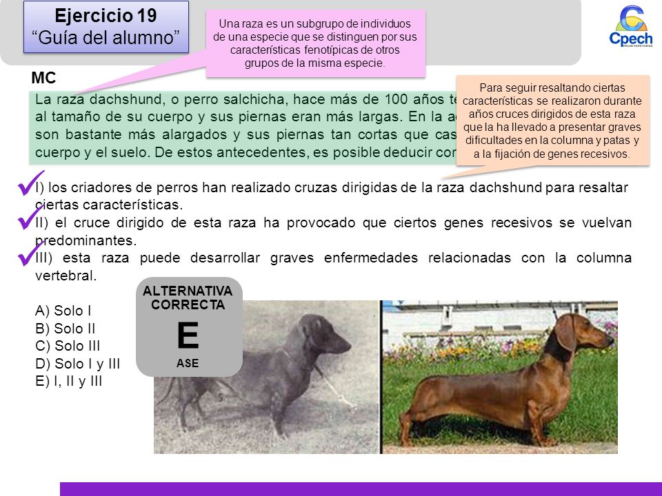    E Ejercicio 19 Guía del alumno MC