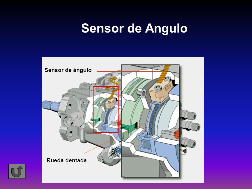 Sensor de Angulo Sensor de ángulo Rueda dentada