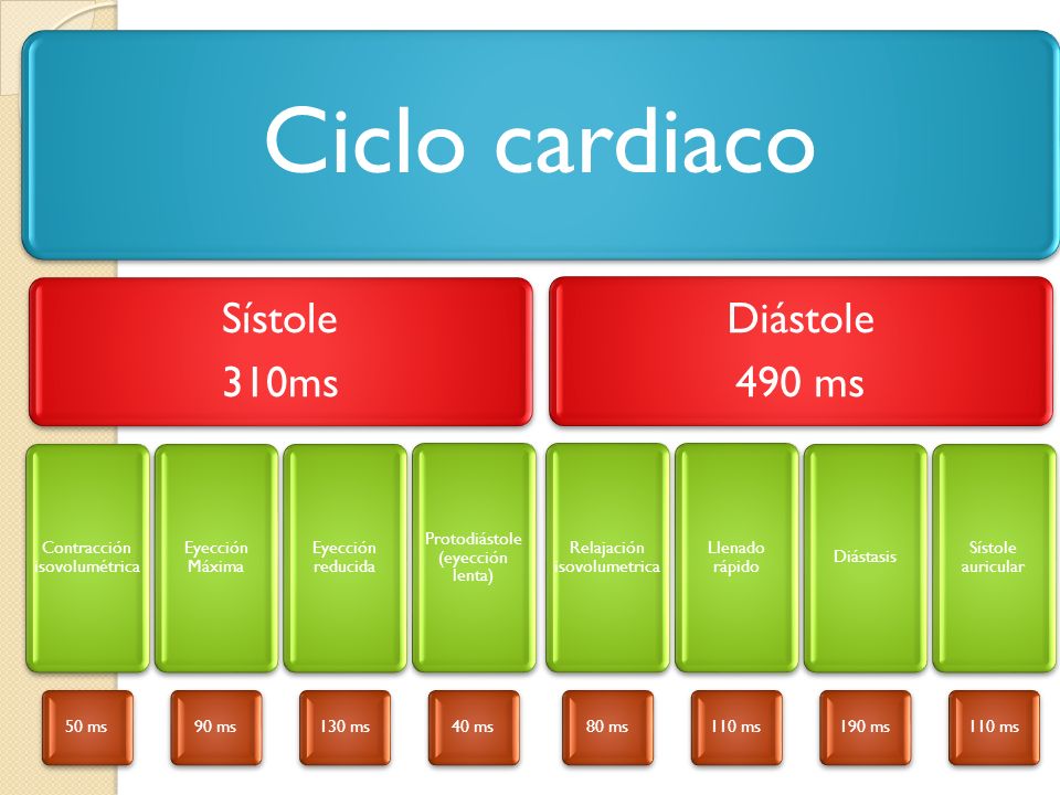 Ciclo cardiaco Sístole 310ms Diástole 490 ms