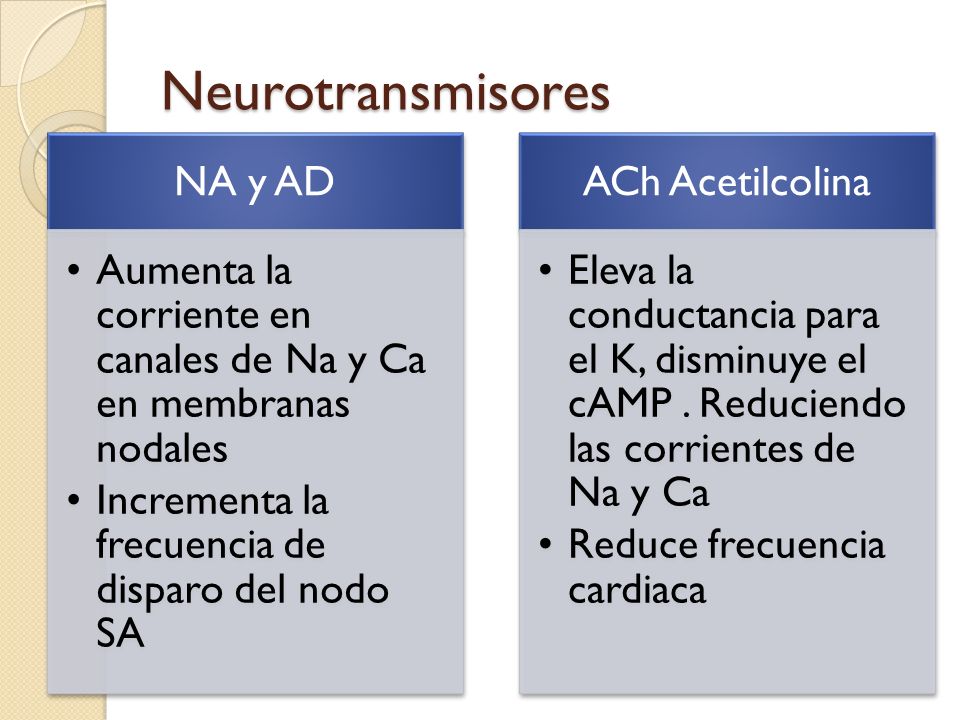 Neurotransmisores NA y AD