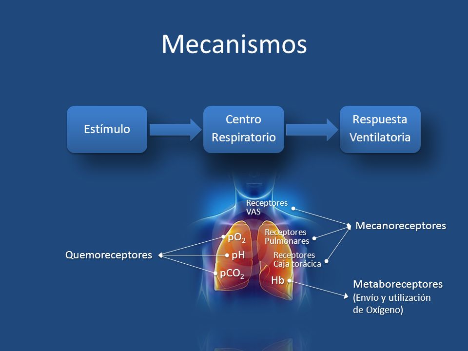 Mecanismos Estímulo Centro Respiratorio Respuesta Ventilatoria pH pO2