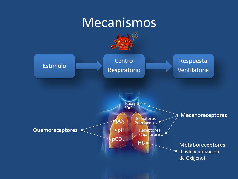 Mecanismos Estímulo Centro Respiratorio Respuesta Ventilatoria pH pO2