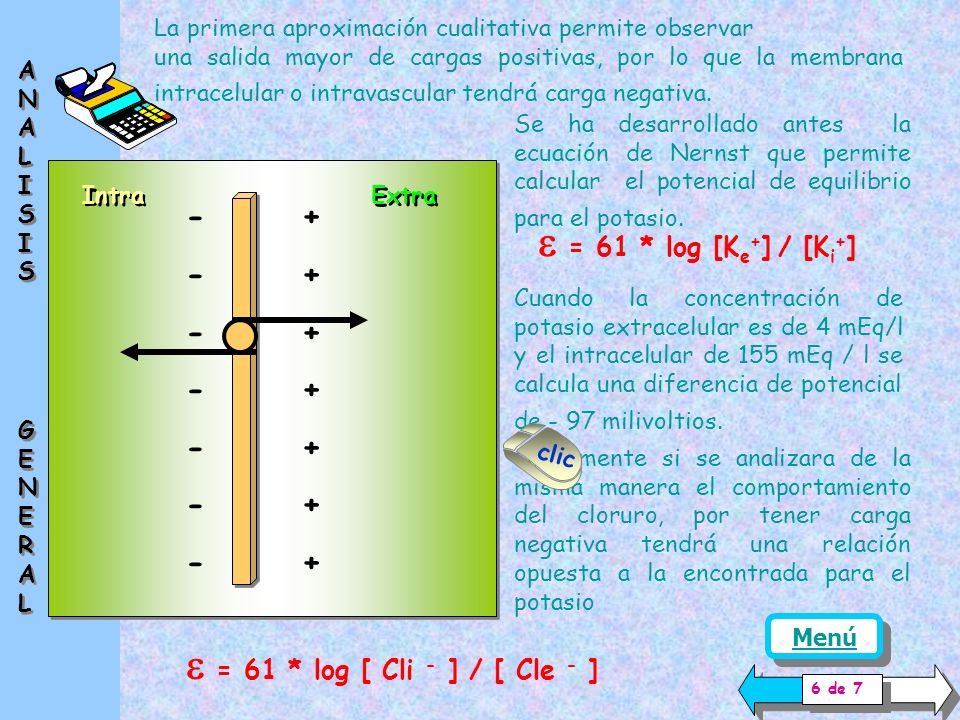 e = 61 * log [Ke+] / [Ki+] e = 61 * log [ Cli - ] / [ Cle - ] - +