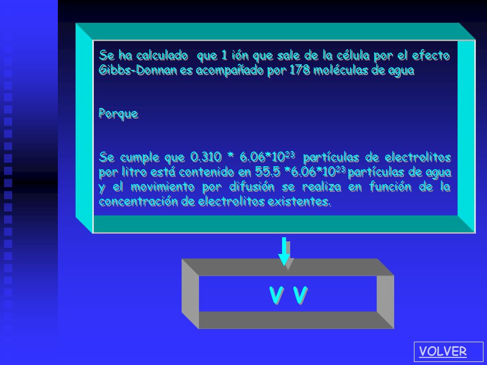 Se ha calculado que 1 ión que sale de la célula por el efecto Gibbs-Donnan es acompañado por 178 moléculas de agua