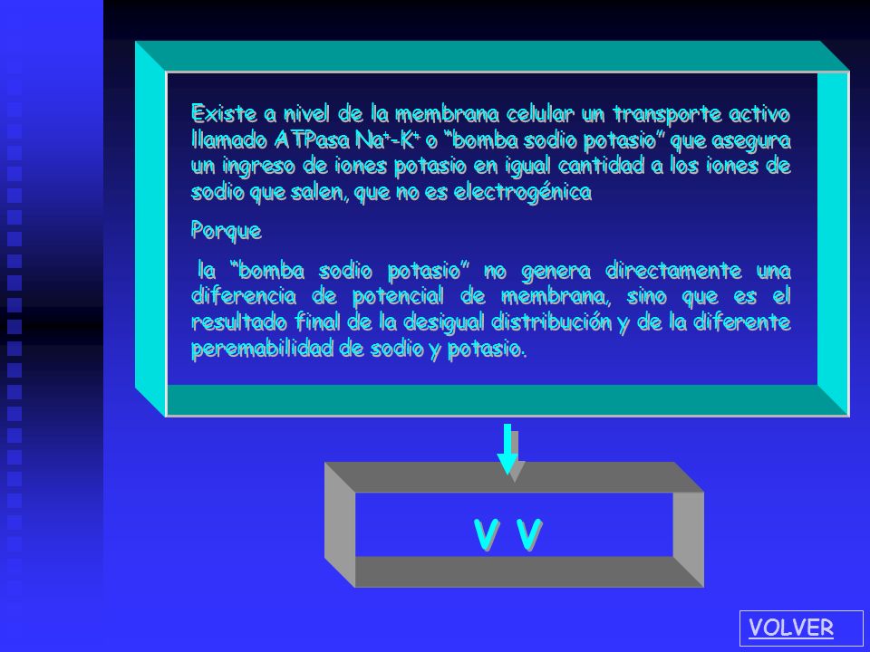 Existe a nivel de la membrana celular un transporte activo llamado ATPasa Na+-K+ o bomba sodio potasio que asegura un ingreso de iones potasio en igual cantidad a los iones de sodio que salen, que no es electrogénica