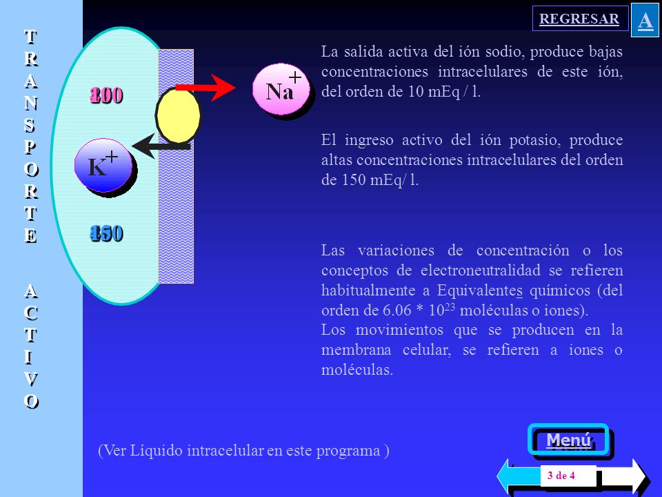REGRESAR A. TRANSPORTE. ACTIVO. La salida activa del ión sodio, produce bajas concentraciones intracelulares de este ión, del orden de 10 mEq / l.