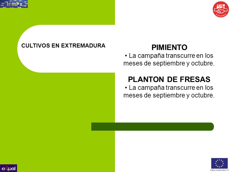 • La campaña transcurre en los meses de septiembre y octubre.