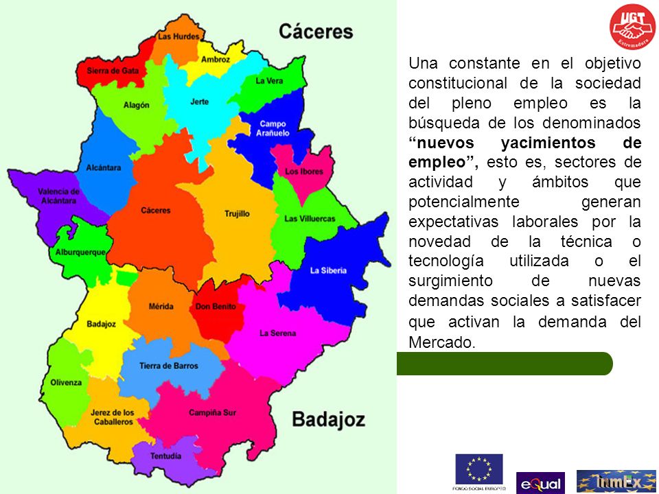 Una constante en el objetivo constitucional de la sociedad del pleno empleo es la búsqueda de los denominados nuevos yacimientos de empleo , esto es, sectores de actividad y ámbitos que potencialmente generan expectativas laborales por la novedad de la técnica o tecnología utilizada o el surgimiento de nuevas demandas sociales a satisfacer que activan la demanda del Mercado.