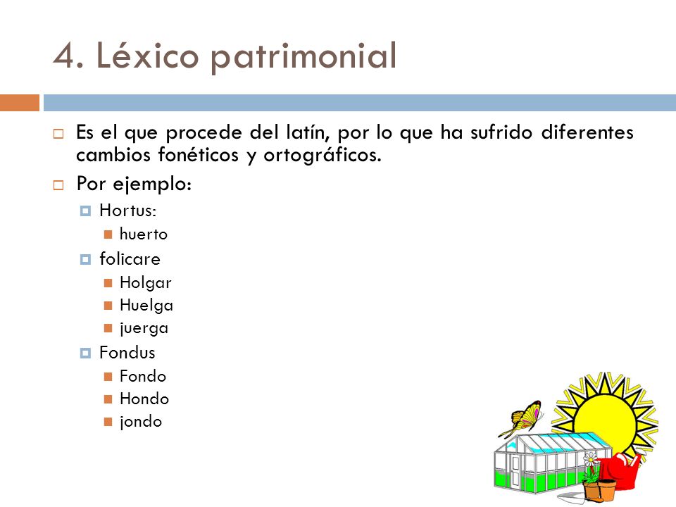 4. Léxico patrimonial Es el que procede del latín, por lo que ha sufrido diferentes cambios fonéticos y ortográficos.