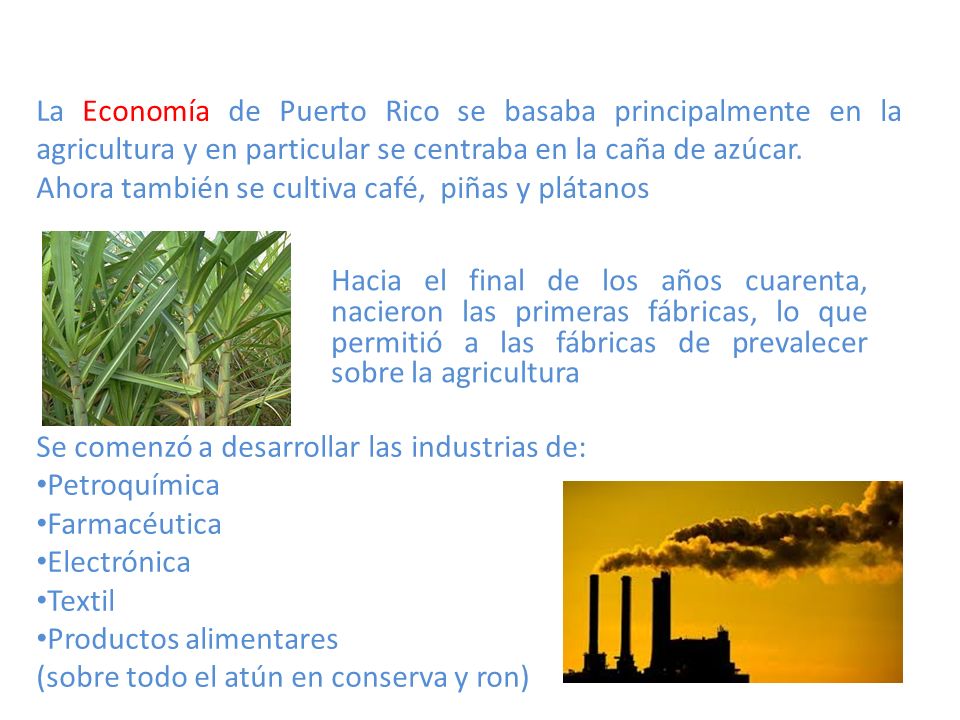 La Economía de Puerto Rico se basaba principalmente en la agricultura y en particular se centraba en la caña de azúcar.
