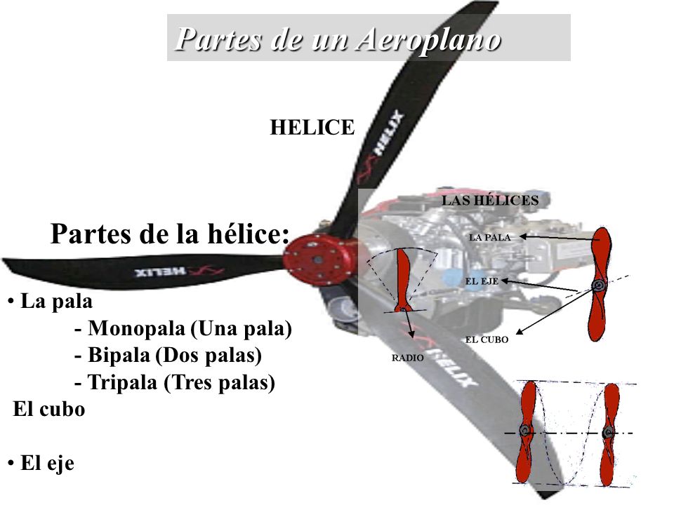 Partes de un Aeroplano Partes de la hélice: HELICE La pala