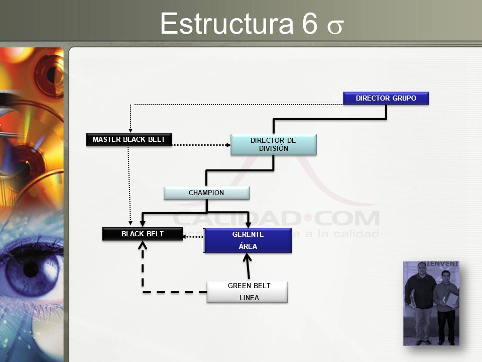 Estructura 6  DIRECTOR GRUPO MASTER BLACK BELT DIRECTOR DE DIVISIÓN