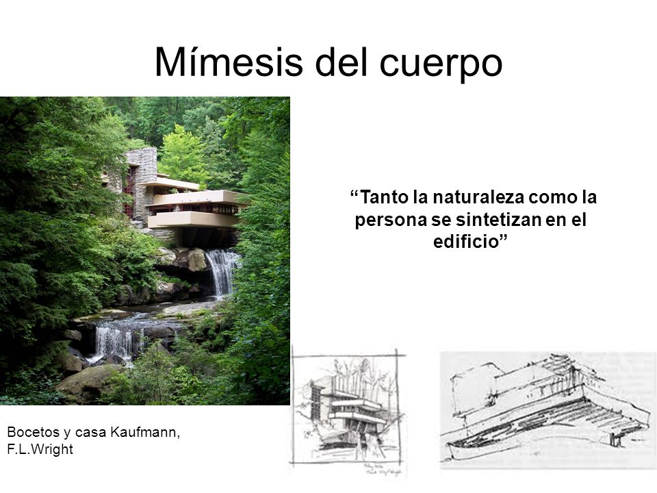 Tanto la naturaleza como la persona se sintetizan en el edificio
