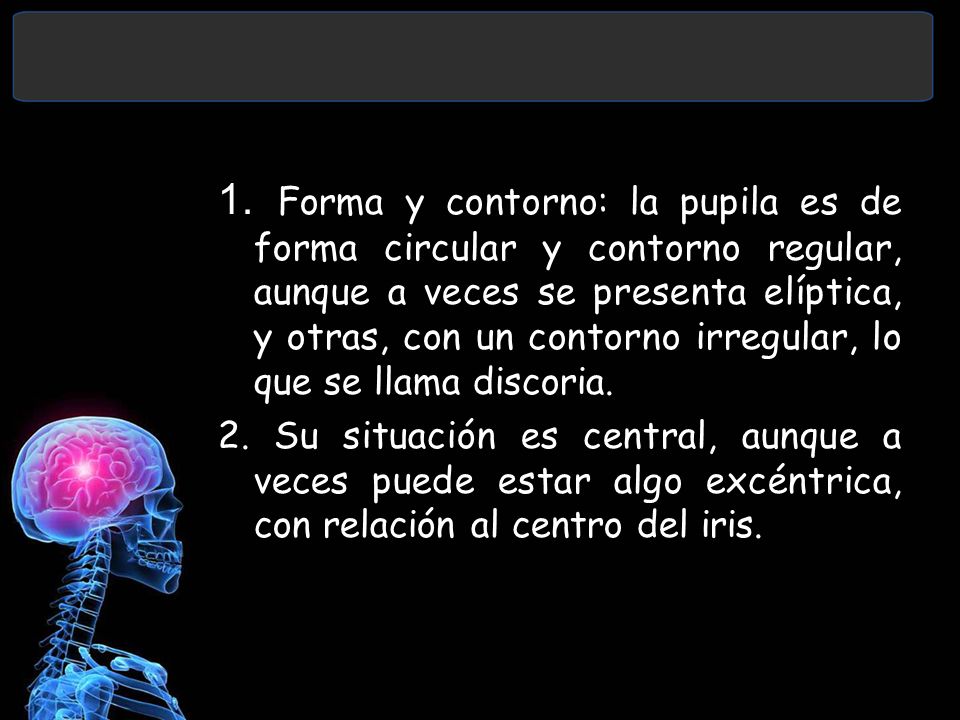 1. Forma y contorno: la pupila es de forma circular y contorno regular, aunque a veces se presenta elíptica, y otras, con un contorno irregular, lo que se llama discoria.