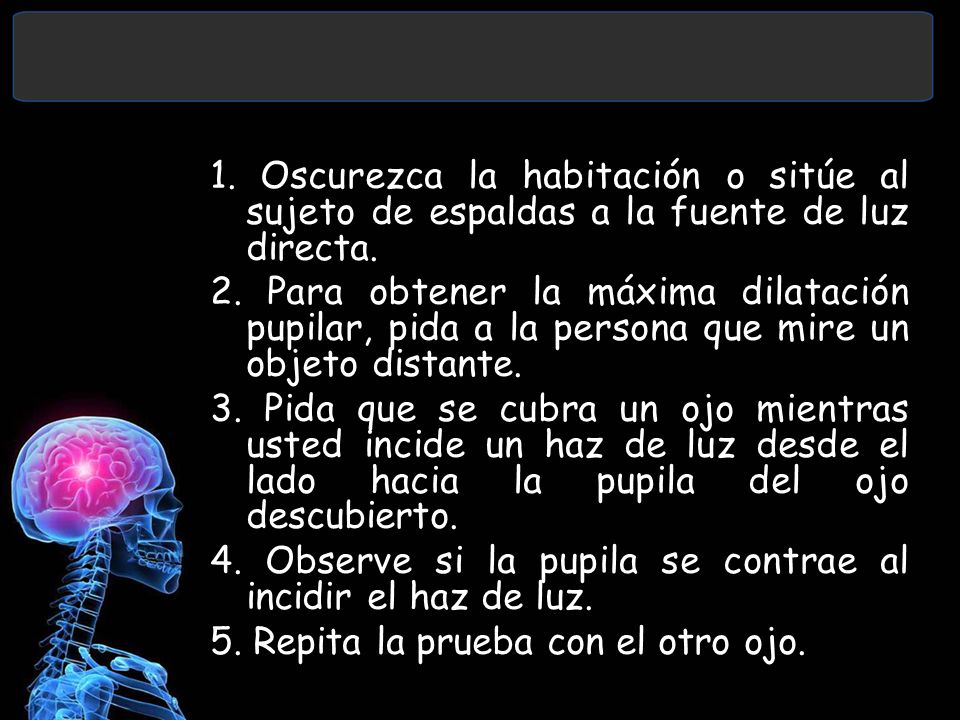 1. Oscurezca la habitación o sitúe al sujeto de espaldas a la fuente de luz directa.