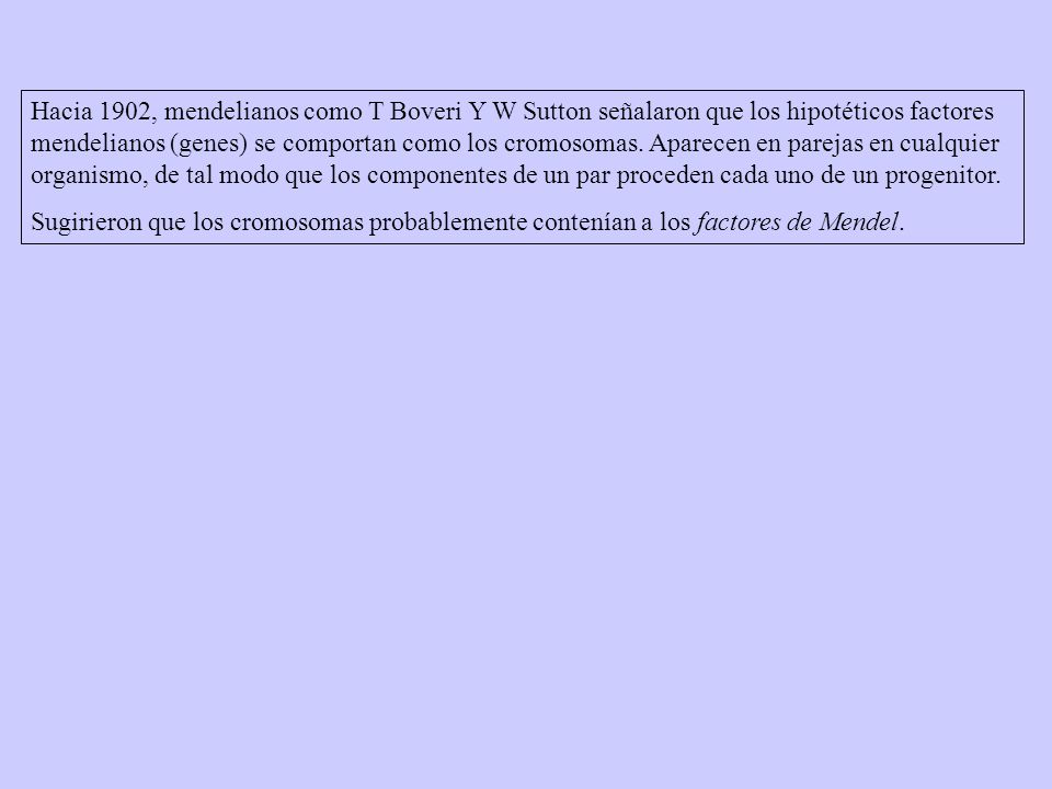 Hacia 1902, mendelianos como T Boveri Y W Sutton señalaron que los hipotéticos factores mendelianos (genes) se comportan como los cromosomas. Aparecen en parejas en cualquier organismo, de tal modo que los componentes de un par proceden cada uno de un progenitor.