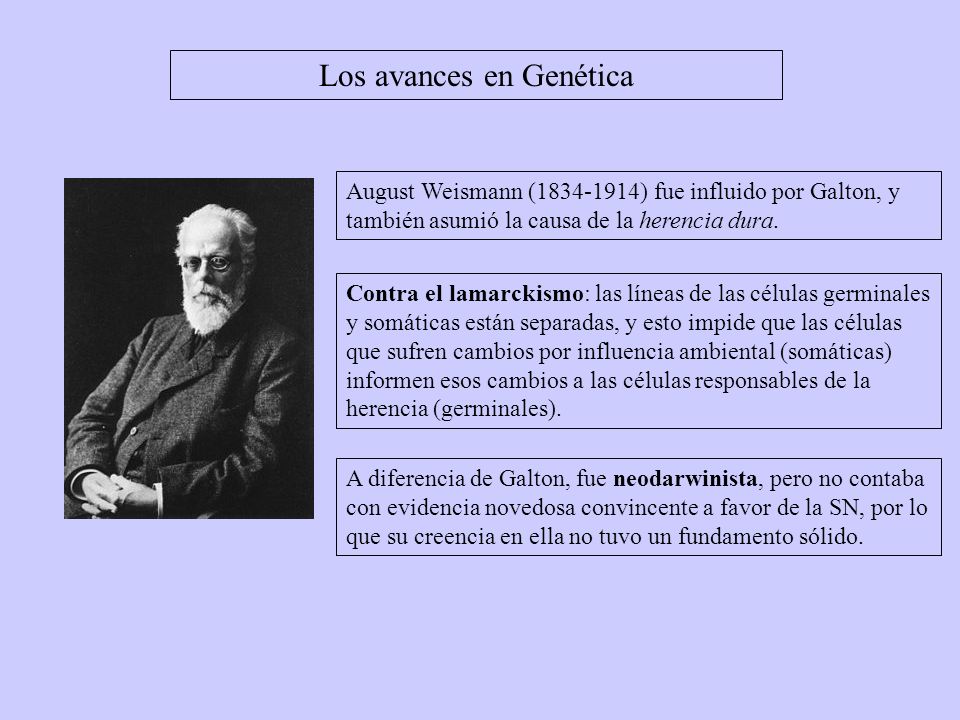 Los avances en Genética