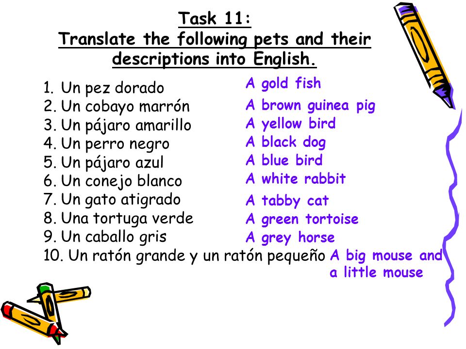 Task 11: Translate the following pets and their descriptions into English.