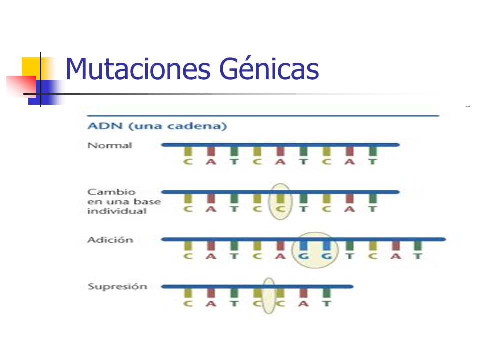 Mutaciones Génicas