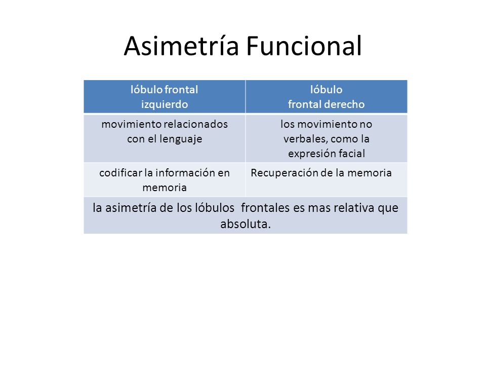 Asimetría Funcional lóbulo frontal. izquierdo. lóbulo. frontal derecho. movimiento relacionados.