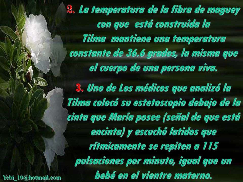 2. La temperatura de la fibra de maguey con que está construida la Tilma mantiene una temperatura constante de 36.6 grados, la misma que el cuerpo de una persona viva.