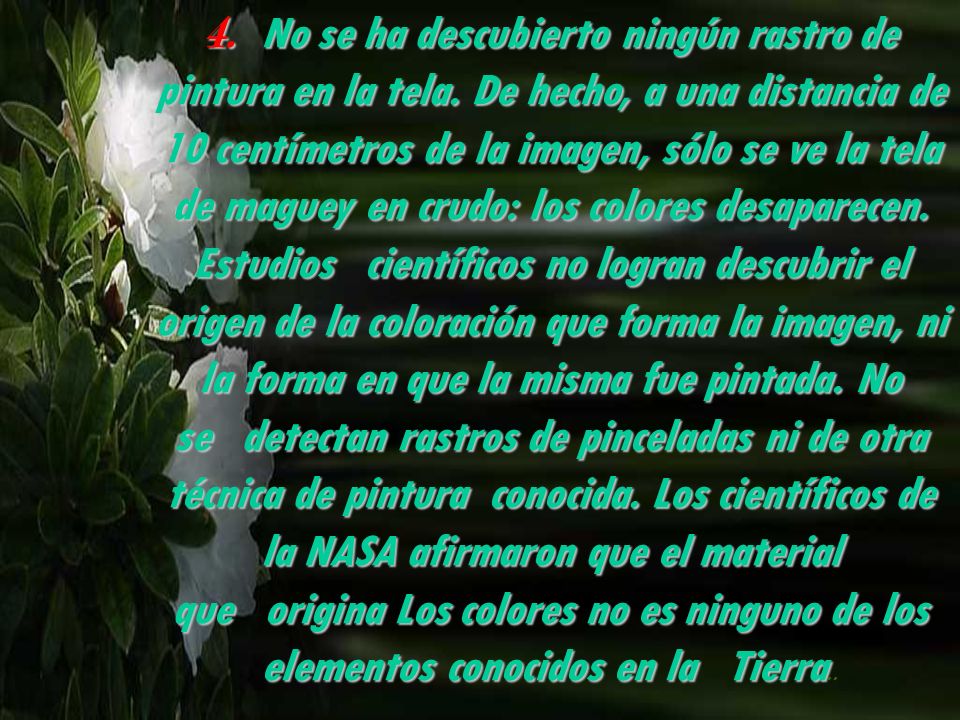 4. No se ha descubierto ningún rastro de pintura en la tela