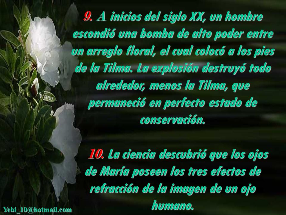 9. A inicios del siglo XX, un hombre escondió una bomba de alto poder entre un arreglo floral, el cual colocó a los pies de la Tilma. La explosión destruyó todo alrededor, menos la Tilma, que permaneció en perfecto estado de conservación.