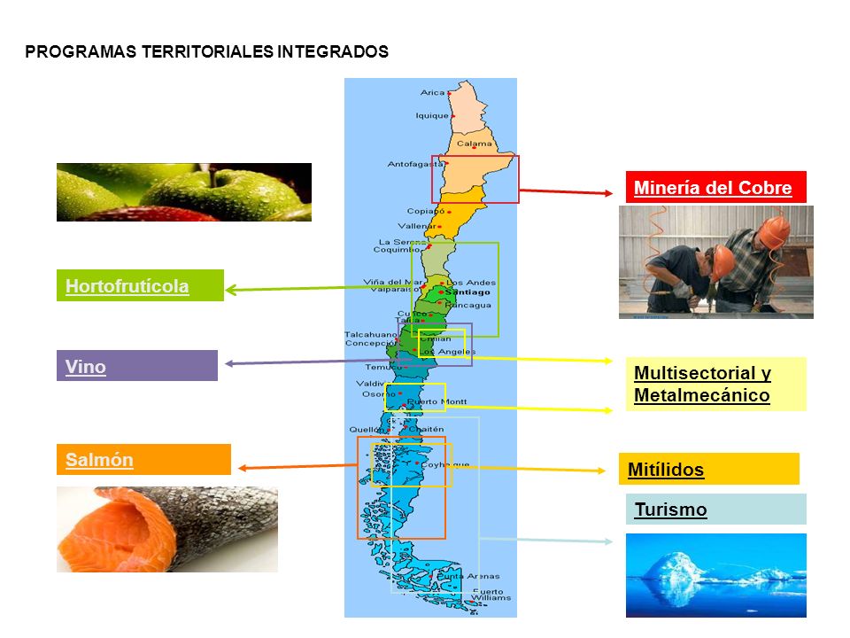 Ejemplo: caso Chile Minería del Cobre Hortofrutícola Vino