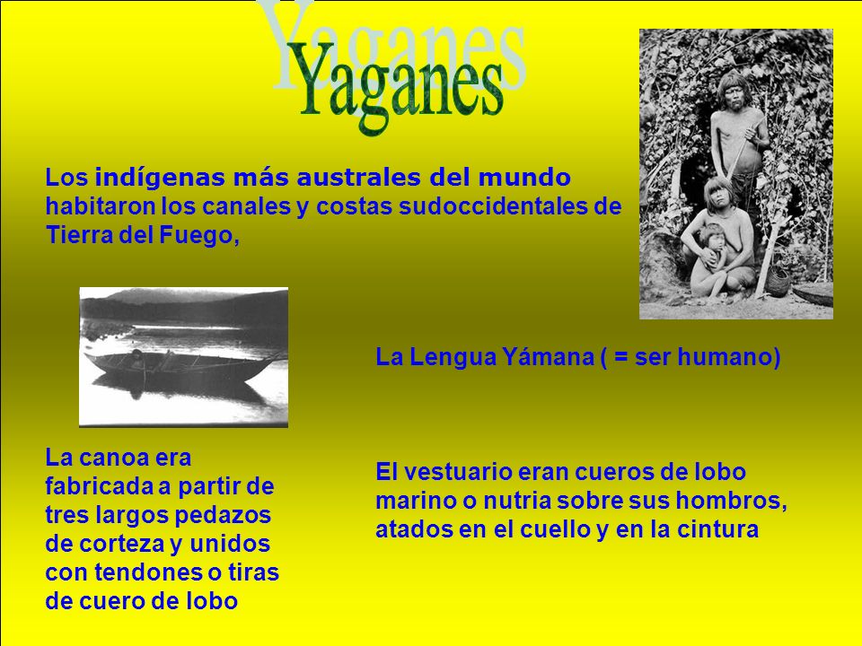 Yaganes Los indígenas más australes del mundo habitaron los canales y costas sudoccidentales de Tierra del Fuego,