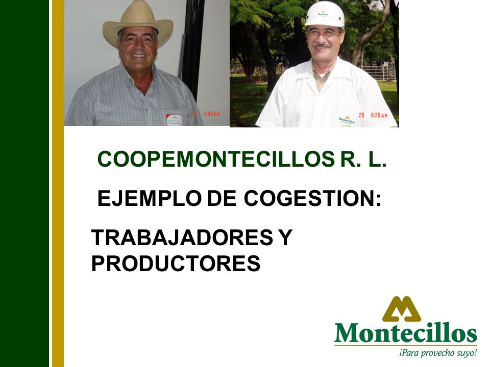 COOPEMONTECILLOS R. L. EJEMPLO DE COGESTION: TRABAJADORES Y PRODUCTORES
