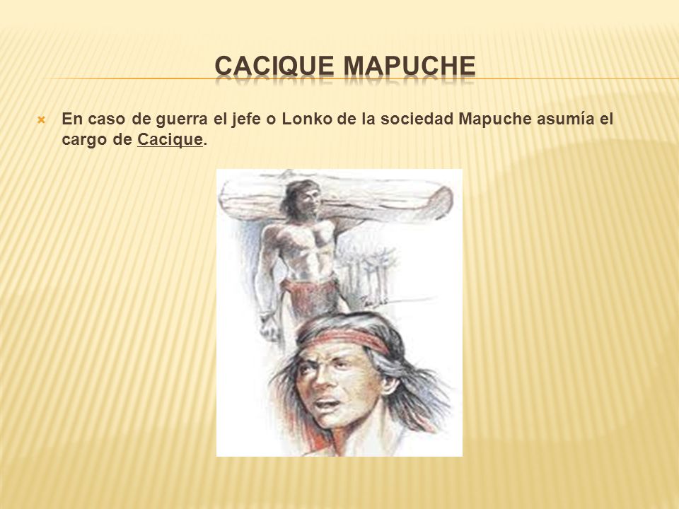 Cacique Mapuche En caso de guerra el jefe o Lonko de la sociedad Mapuche asumía el cargo de Cacique.