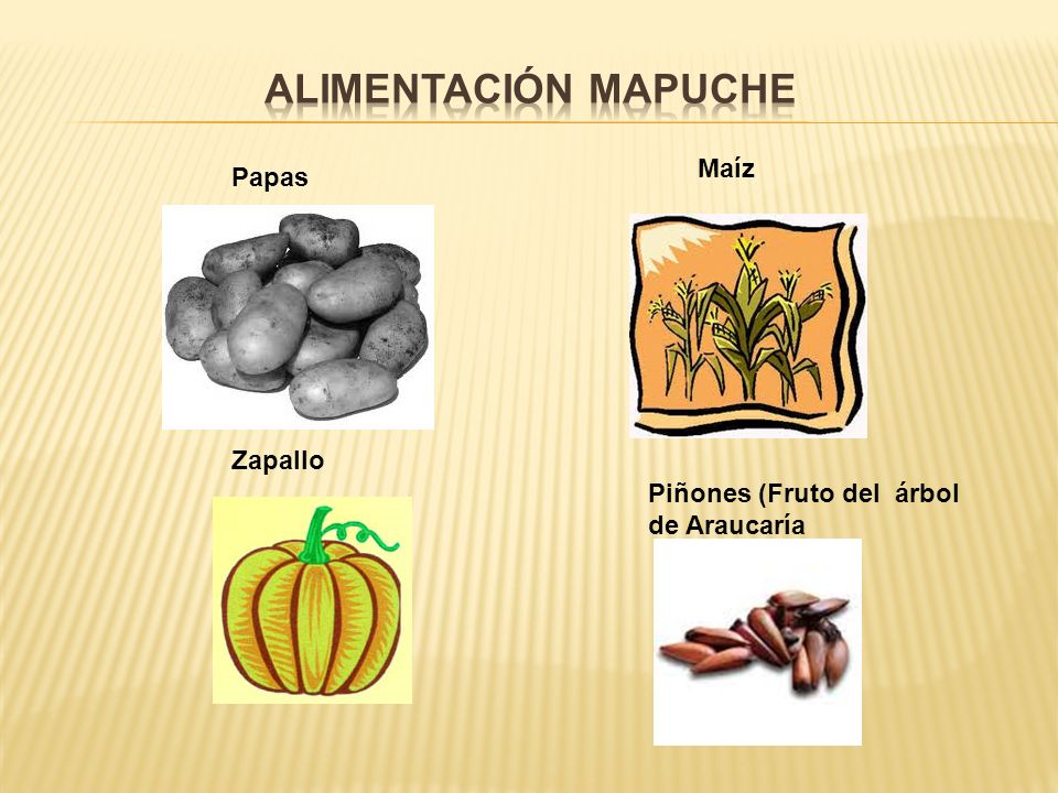 Alimentación Mapuche Maíz Papas Zapallo