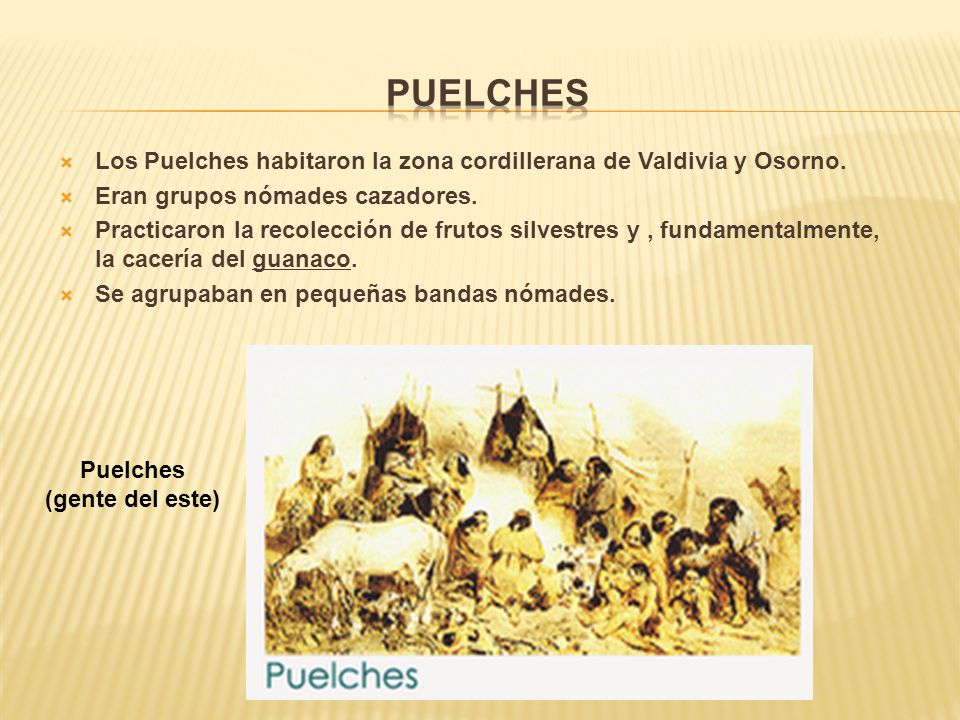 Puelches Los Puelches habitaron la zona cordillerana de Valdivia y Osorno. Eran grupos nómades cazadores.