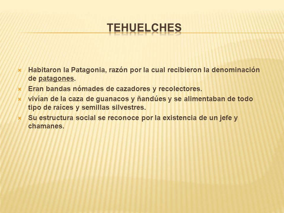Tehuelches Habitaron la Patagonia, razón por la cual recibieron la denominación de patagones. Eran bandas nómades de cazadores y recolectores.