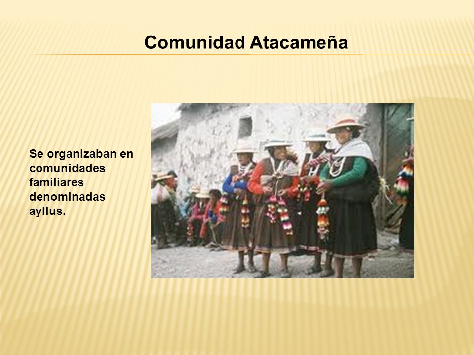Comunidad Atacameña Se organizaban en comunidades familiares denominadas ayllus.