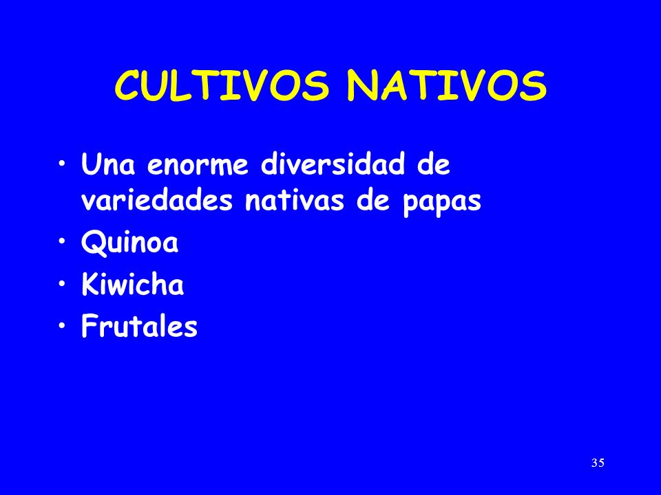 CULTIVOS NATIVOS Una enorme diversidad de variedades nativas de papas