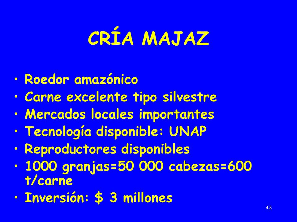 CRÍA MAJAZ Roedor amazónico Carne excelente tipo silvestre