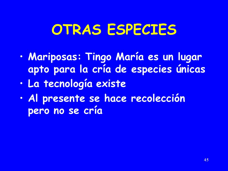 OTRAS ESPECIES Mariposas: Tingo María es un lugar apto para la cría de especies únicas. La tecnología existe.