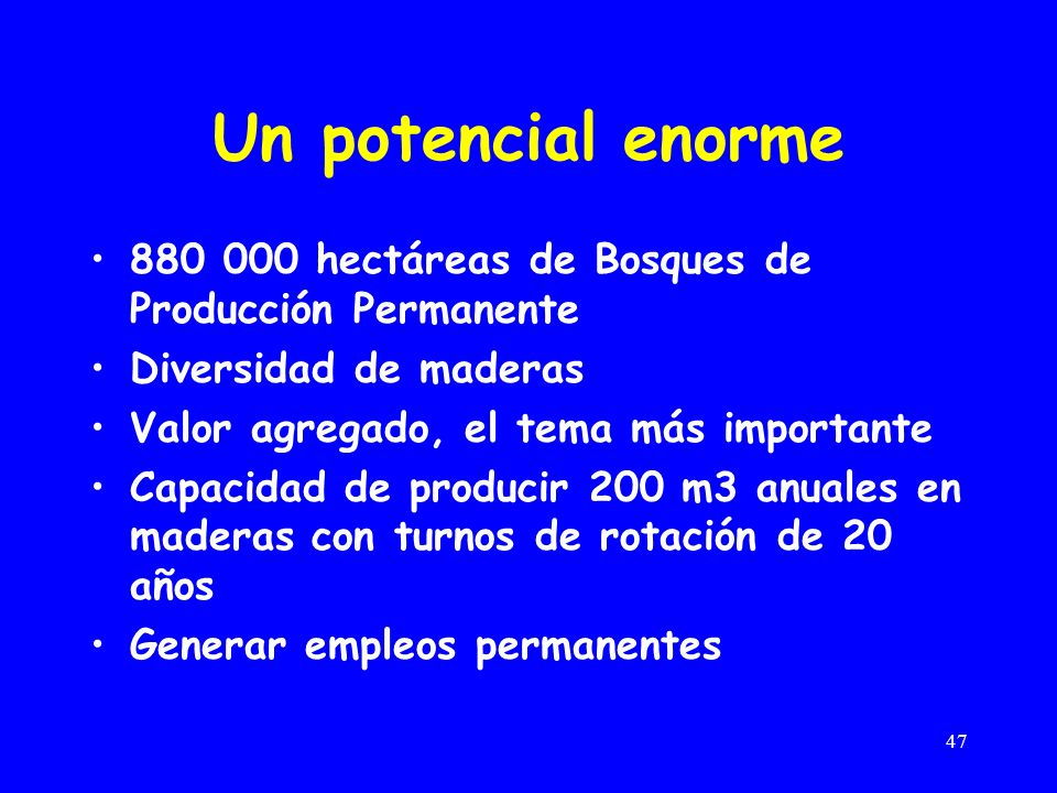 Un potencial enorme hectáreas de Bosques de Producción Permanente. Diversidad de maderas. Valor agregado, el tema más importante.