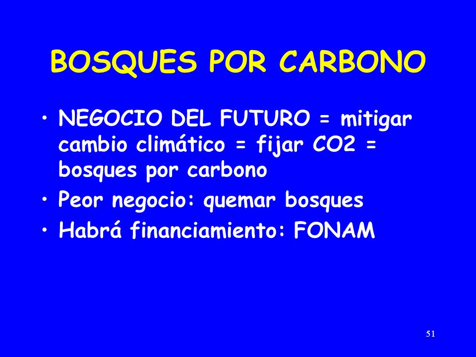 BOSQUES POR CARBONO NEGOCIO DEL FUTURO = mitigar cambio climático = fijar CO2 = bosques por carbono.