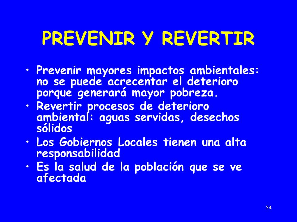 PREVENIR Y REVERTIR Prevenir mayores impactos ambientales: no se puede acrecentar el deterioro porque generará mayor pobreza.